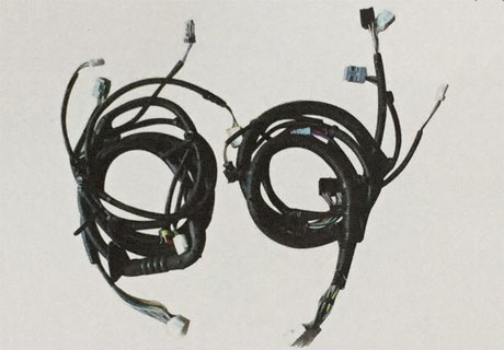 車(chē)門(mén)線(xiàn)束